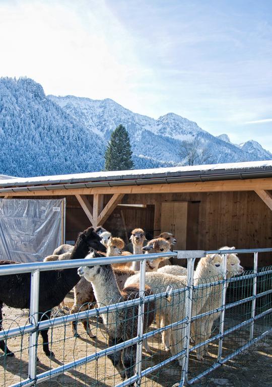 Hotel Pension Restner Inzell Exterior foto